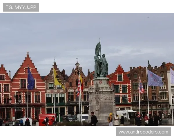 布鲁日未来规划